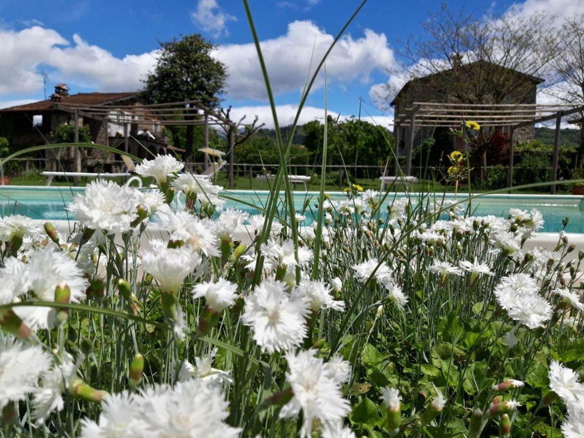 Agriturismo Chioi บาร์กา ภายนอก รูปภาพ